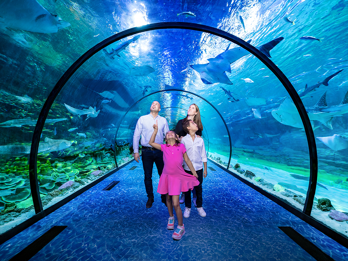 The National Aquarium in Abu Dhabi